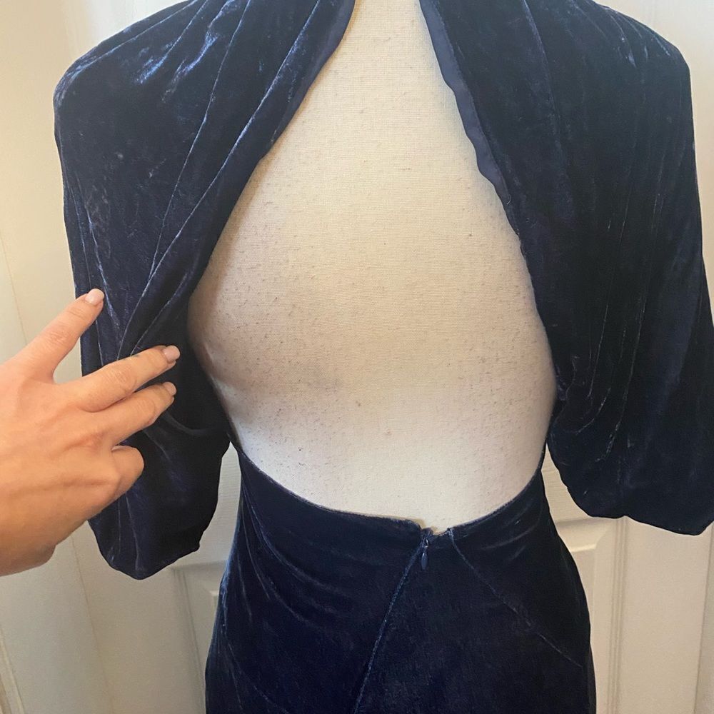 BCBG MaxAzria Runway crushed velvet maxi dress, size 0 - Picture 9 of 12